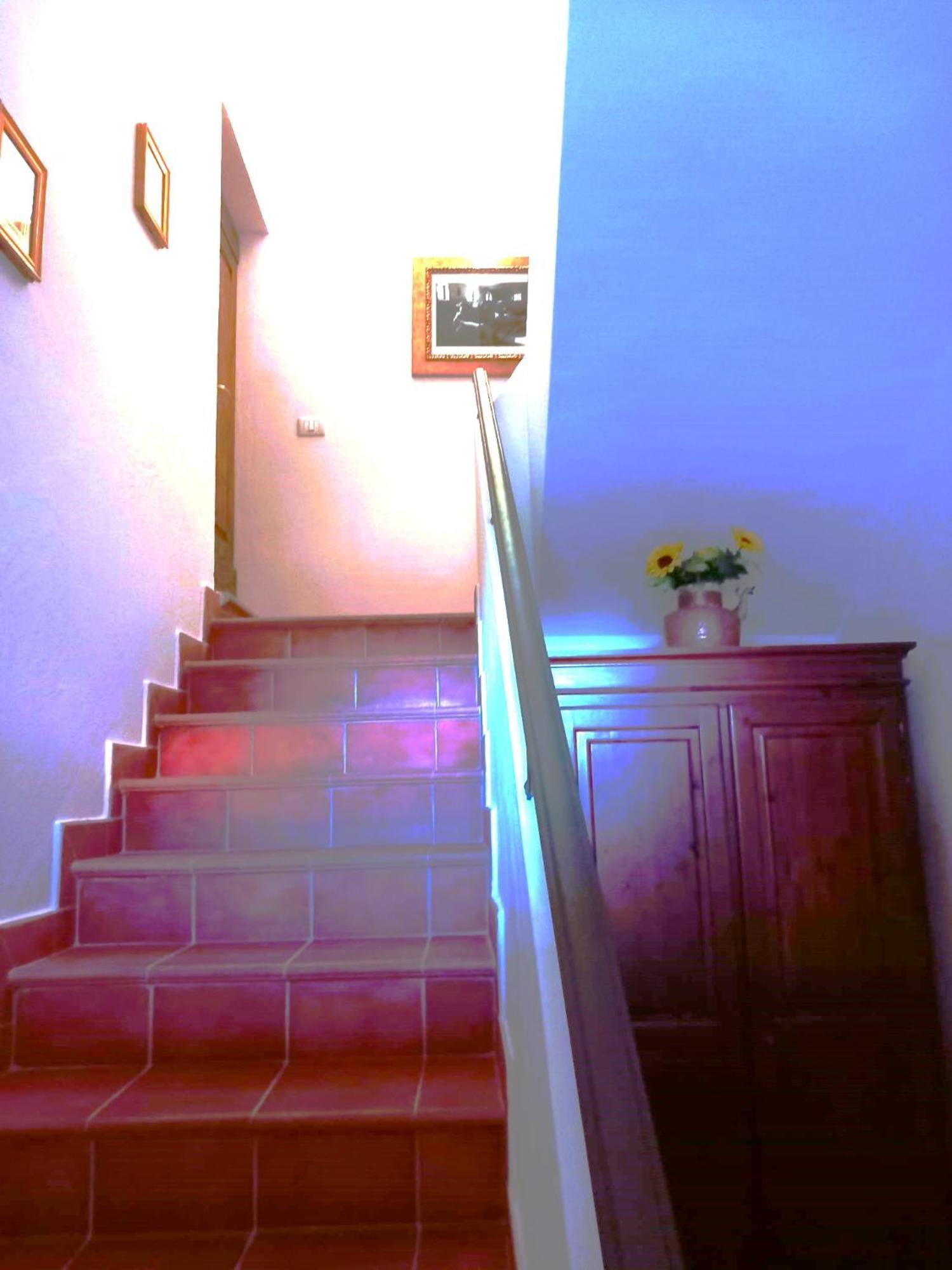 Borgo San Savino Konuk evi San Savino  Dış mekan fotoğraf